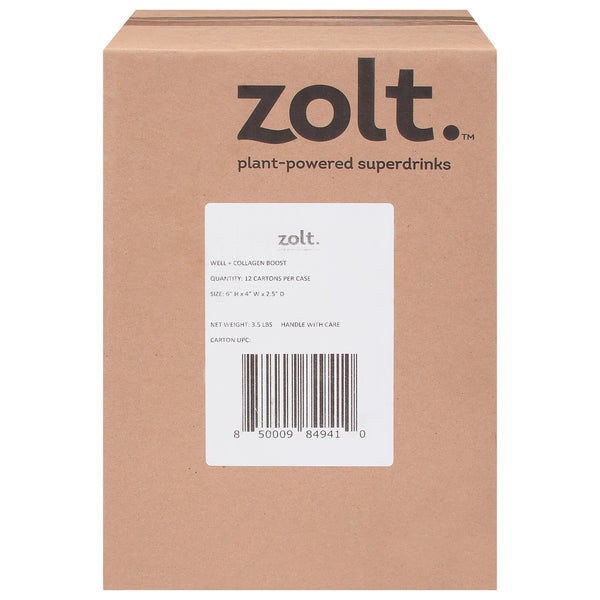 Zolt - Drink Mx Well Lemon Tea - Case Of 12-10/.17 Z
